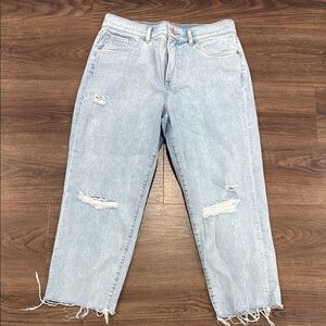 Express Blue Boyfriend Jeans Relaxed Fit